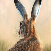 Artwork of a hare
