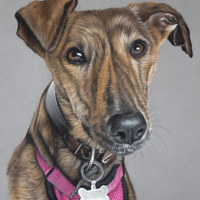 Artwork of a portrait of a greyhound