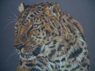 Painting of Amur Leopard