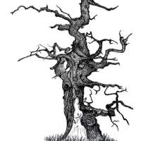 silkscreen print of an old oak tree