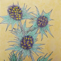 pen and watercolour artwork of sea holly