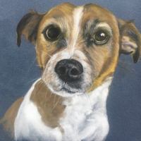pastel painting of a Jack Russell Terrier