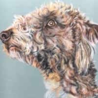 Pastel painting of a Lurcher