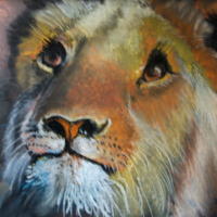 Artwork 1 - Lioness