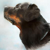 Artwork 1 - Dog Portrait