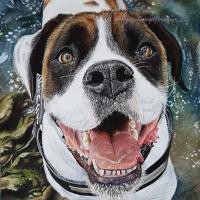 Artwork of a portrait of an American bulldog