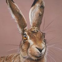 Artwork of a hare