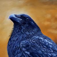 Artwork of a raven
