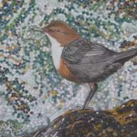 Painting of a dipper