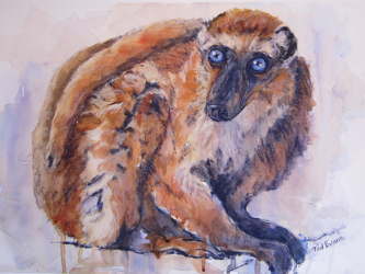 Painting of Lemur
